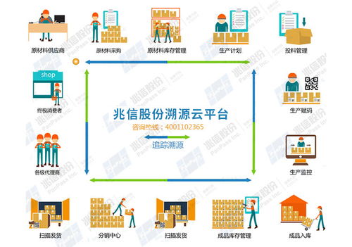 農(nóng)藥質(zhì)量追溯系統(tǒng)核心功能與信息技術(shù)咨詢服務(wù)價值